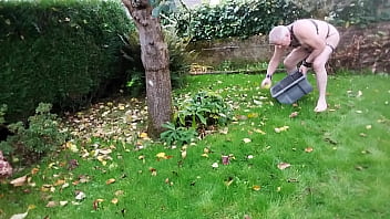 [Suite, Gay, Du] Suite Du Ramassage De Pommes